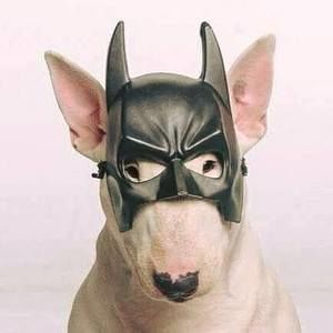 Meet your Posher, Nicolee